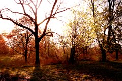 photo 0026